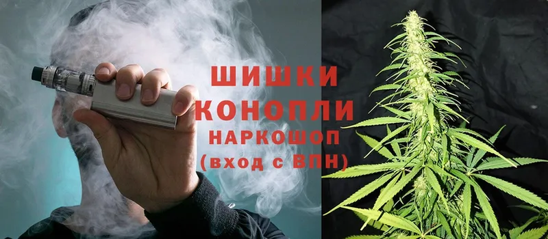 Конопля OG Kush  дарнет шоп  Петропавловск-Камчатский 